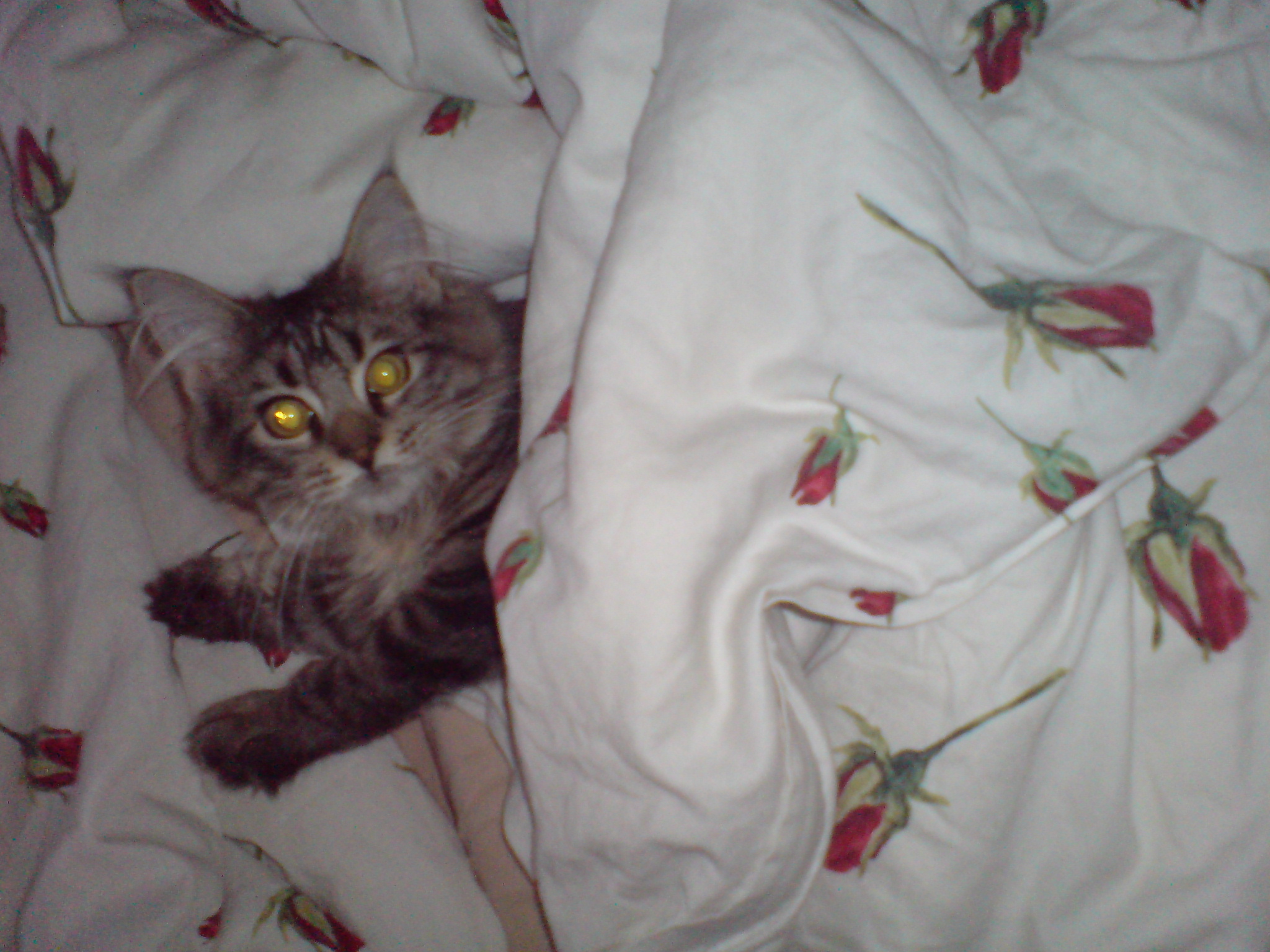 DSC00717.JPG